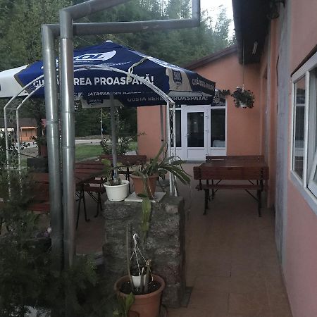 Vila Tanamera Hotell Moneasa Exteriör bild