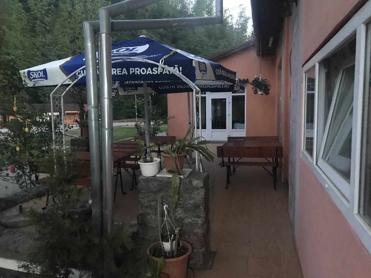 Vila Tanamera Hotell Moneasa Exteriör bild